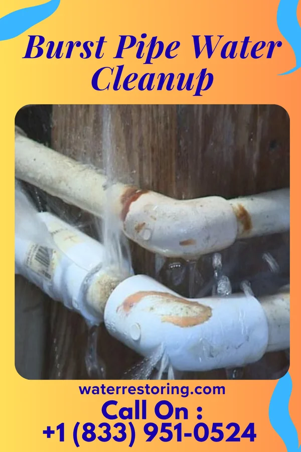 Burst Pipe Water Cleanup in Newald, WI