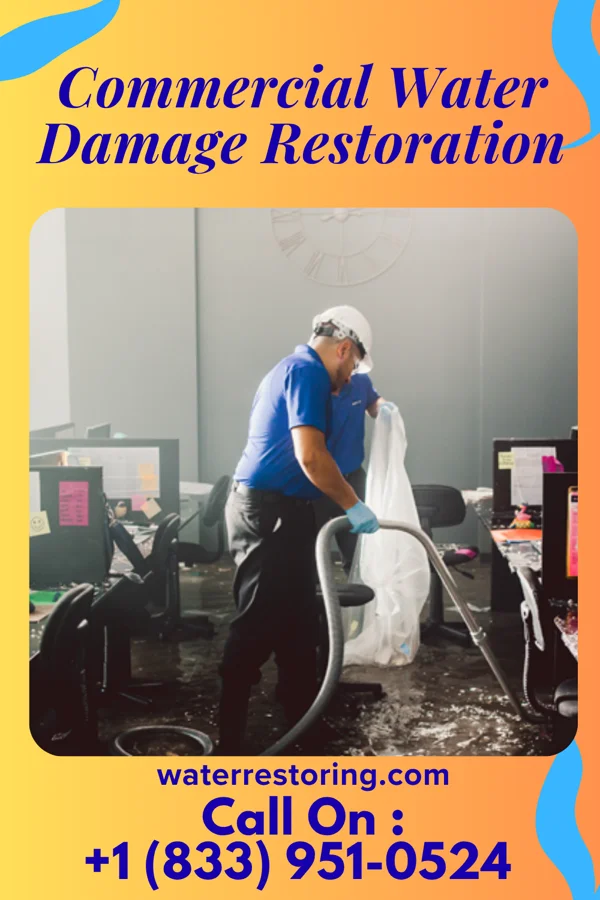 Commercial Water Damage Restoration in Newald, WI