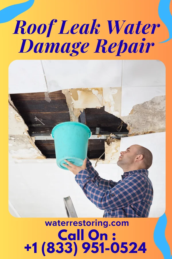 Roof Leak Water Damage Repair in Newald, WI